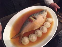 酒酿蒸鲥鱼-苏浙总会(国金中心店)