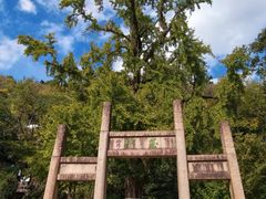 -金典银峰老鹅馆·昆山菜(亭林公园店)
