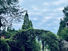 景点-雅安上里古镇