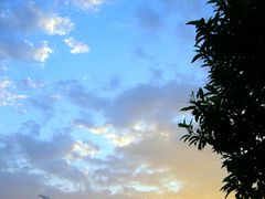 -牛仔谷漂流