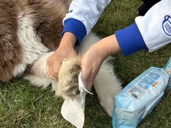 -上海神旺大酒店