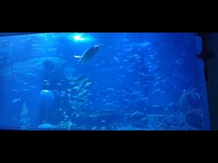 -多彩贵州城极地海洋世界