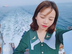 -招商蛇口邮轮母港(观光客运)