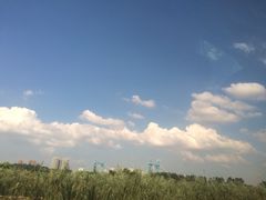 -中百仓储(古田路店)
