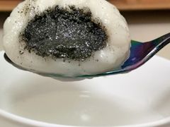 黑芝麻汤团-园外园汤团(城中店)