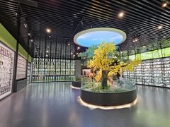 -药王庙(安国市)