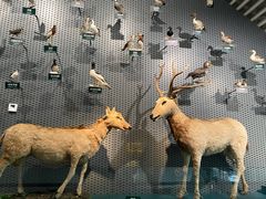 -中国湿地博物馆