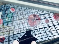 -欧亚汇集(飞跃路店)