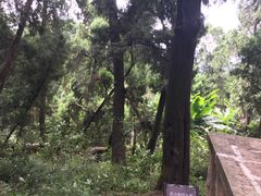 -七曲山风景区