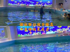-水贝乐国际水育儿童游泳中心(新业广场店)