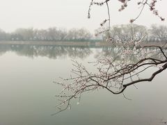-颐和园