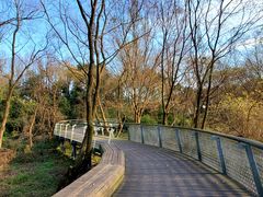 -西湖风景区-江洋畈生态公园