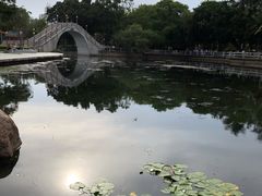 -金砂公园