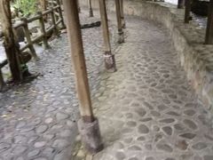-天门沟九州驿站树上汤泉