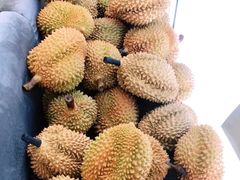 榴莲宝座-猫王榴莲世家(三里屯SOHO商场店)