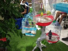 -万达广场(盐城盐都店)