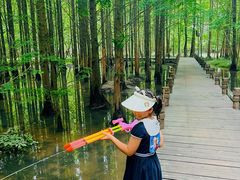 -桤木河湿地公园