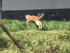 -清晏园