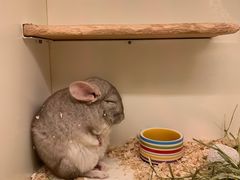 -龙猫仔乐园(惠福东路店)