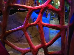 -醉小酒馆·川菜·江湖菜·重庆菜(观音桥旗舰店)