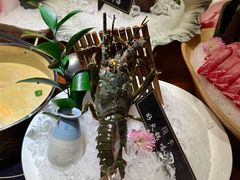 -揽季锅物会.福建黄鱼.海鲜姿造(五四路店)