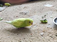 -昆明大悦城未来动物城(螺蛳湾中心店)