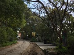 -上海佘山国家森林公园西佘山园