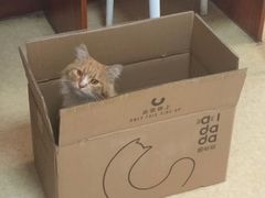 -美联众合动物医院·伴可分院·内科中心医院