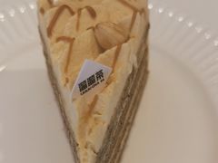 -TD66高山铁皮石斛养生茶饮