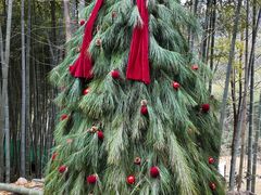 -众神白水涧景区