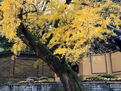-无锡惠山寺
