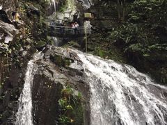 -藏龙百瀑风景区