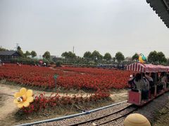 -广东花都香草世界旅游度假区