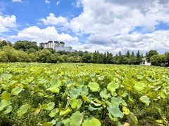 -贵阳市花溪国家城市湿地公园