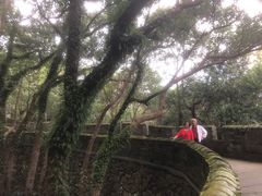 -台州府城(江南长城)