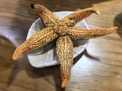 -老刀刀削面烧烤