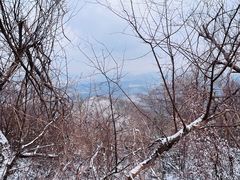 -紫金山山顶公园