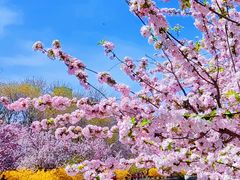 -海棠花溪(元大都城垣遗址公园)