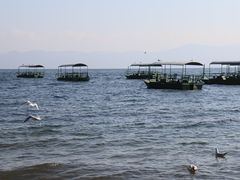-抚仙湖禄充风景区