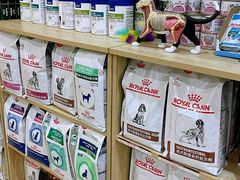 -萌兽医馆·眼科·异宠专科(三里屯店)
