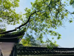 -红梅公园