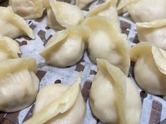 酸菜猪肉饺子-王厚元饺子·辽菜(浑南店)
