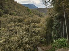 -藏龙百瀑风景区