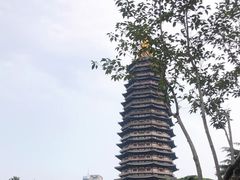 -红梅公园