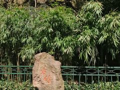 -杭州黄龙洞