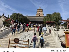 -大慈恩寺(大雁塔)
