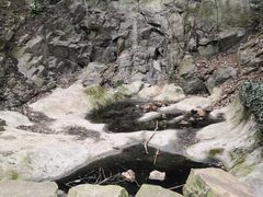 -上海佘山国家森林公园天马山园