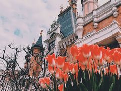 -上海迪士尼度假区