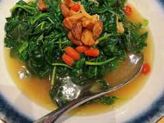 炒菜苗-同乐轩