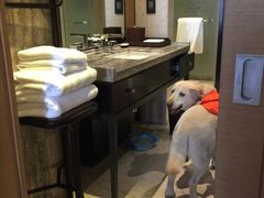 -上海崇明金茂凯悦酒店